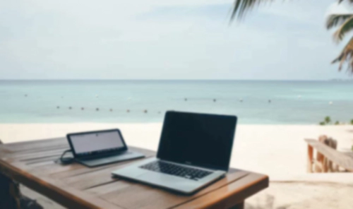 M세대 Z세대