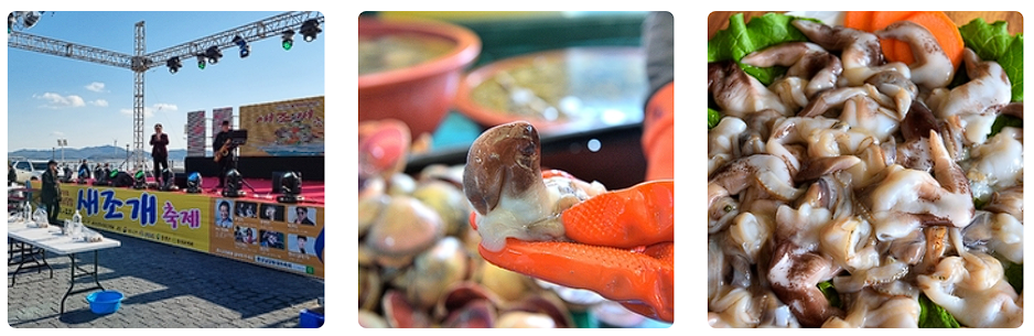 홍성 남당항 새조개 축제