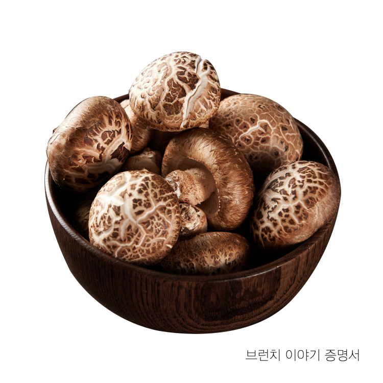 표고버섯