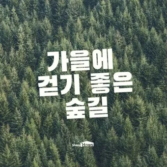 걷기좋은 숲길 50 서울 전남 경북_24