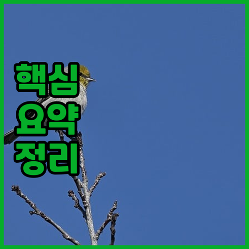 런던 호텔, 호스텔 추천? 킹스크로스