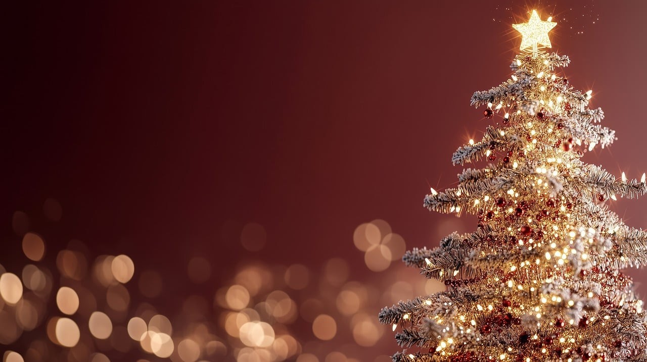 크리스마스 트리 이미지