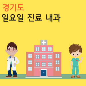 경기도 일요일 진료 내과