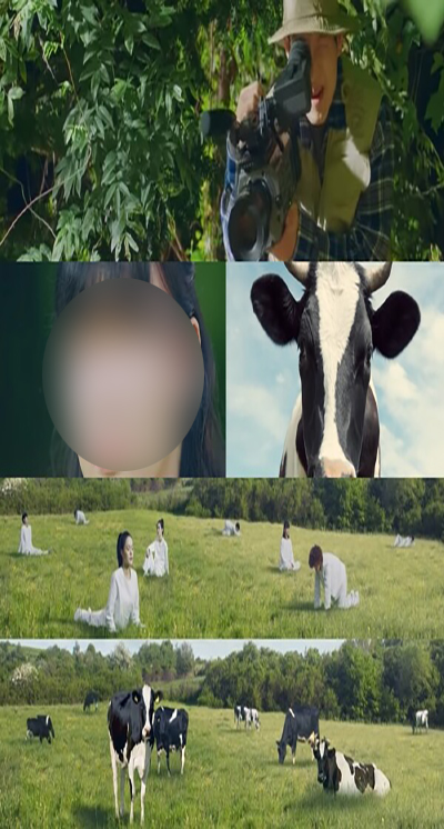 서울우유 젖소 광고 논란