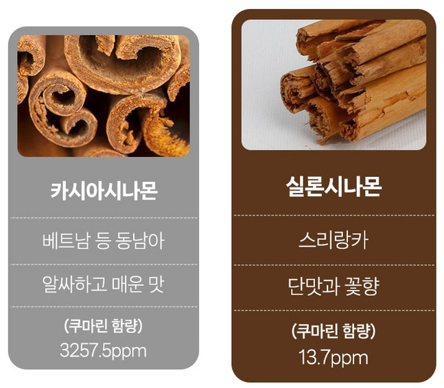 카시아시아몬-실론시나몬-비교-안전성
