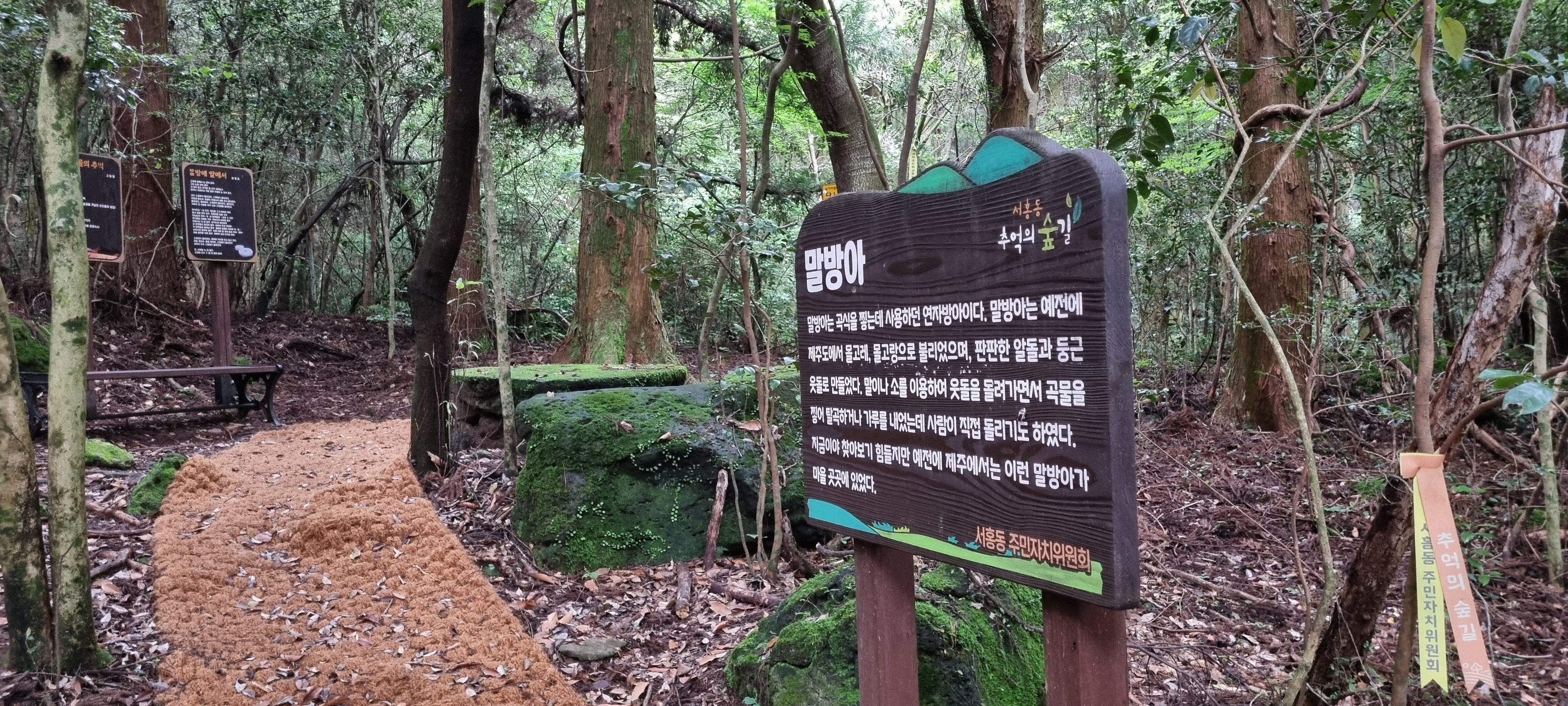 제주 추억의 숲길
