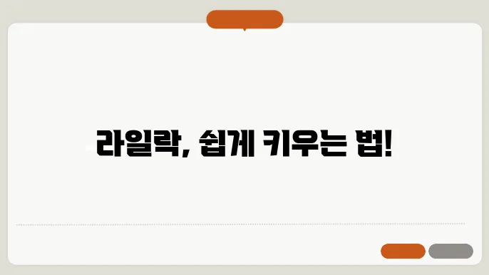 라일락 삽목 방법 안내