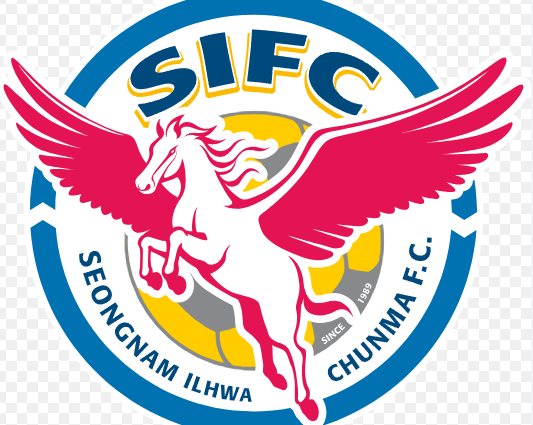 성남일화천마 트레이드 마크