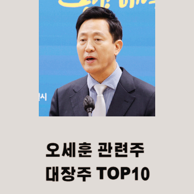 오세훈 관련주 대장주 테마주 수혜주 TOP10