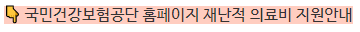 재난적 의료비
