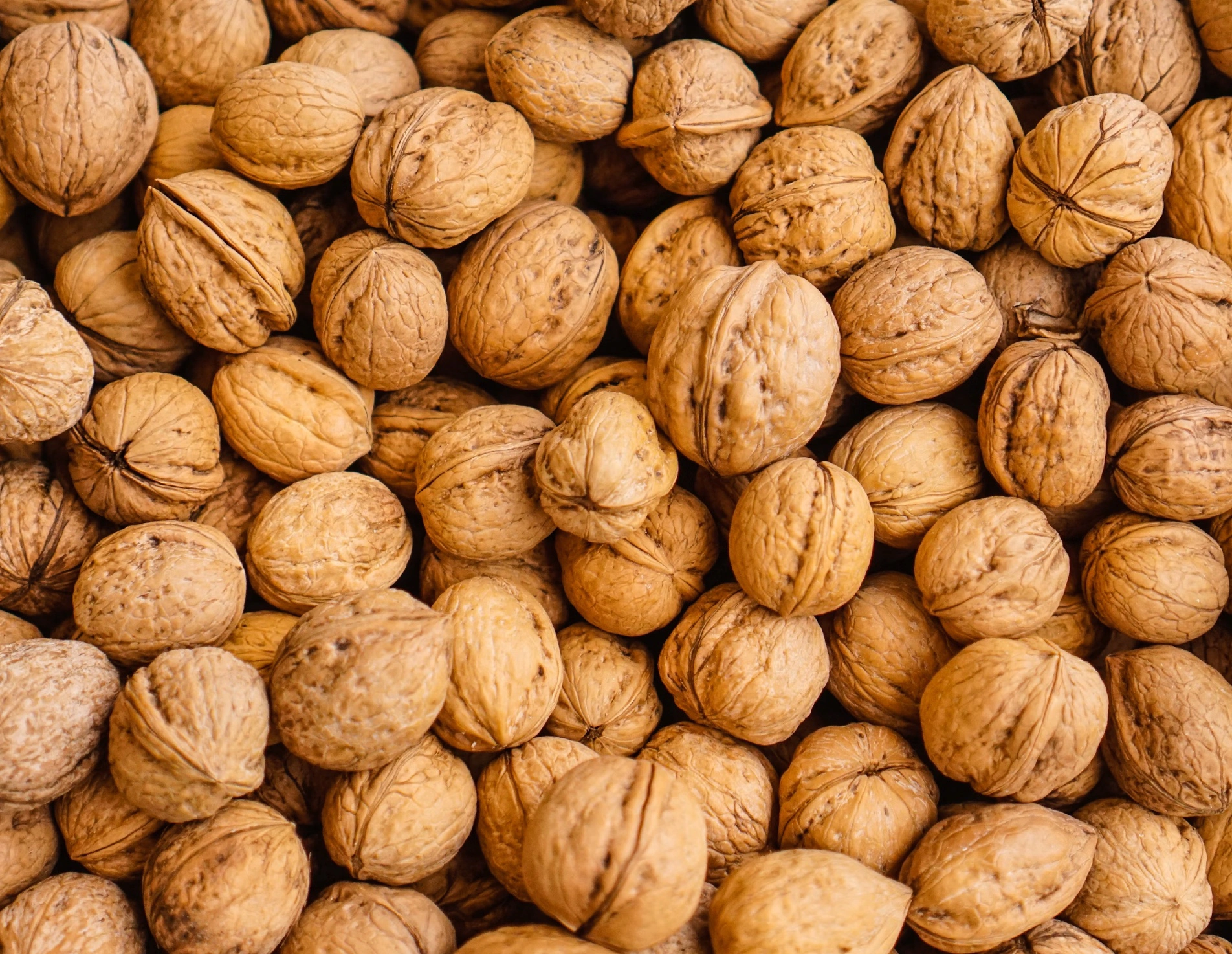 피칸 호두 차이