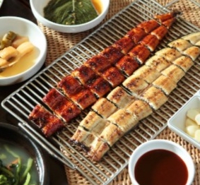 풍천장어