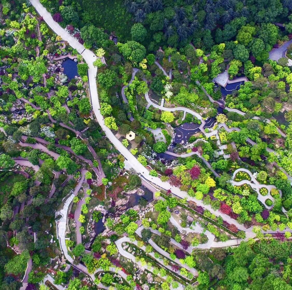 화담숲 모노레일