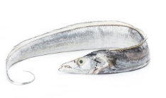 다이어트에-좋은-가을-제철음식-갈치