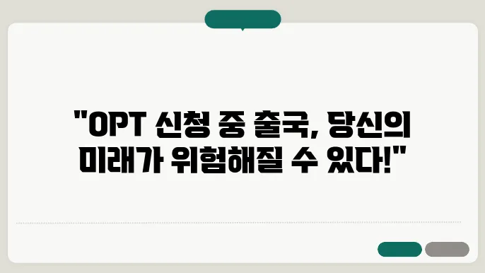 OPT 신청 중 출국