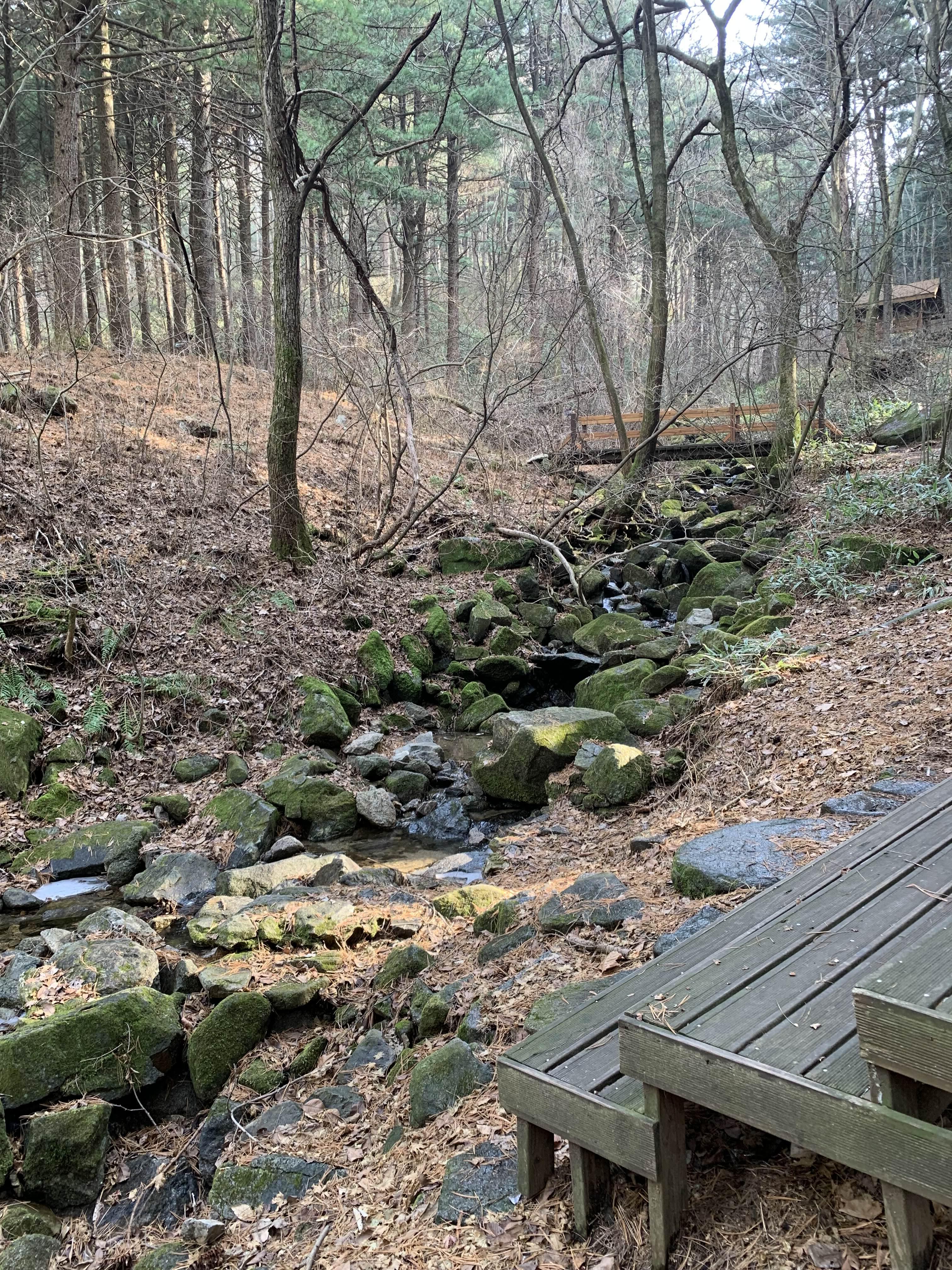 횡성 여행 청태산 자연휴양림