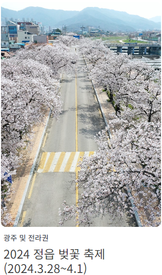 정읍벚꽃축제