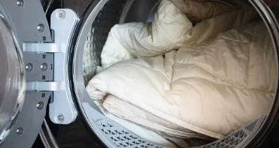 빈대 예방 및 퇴치