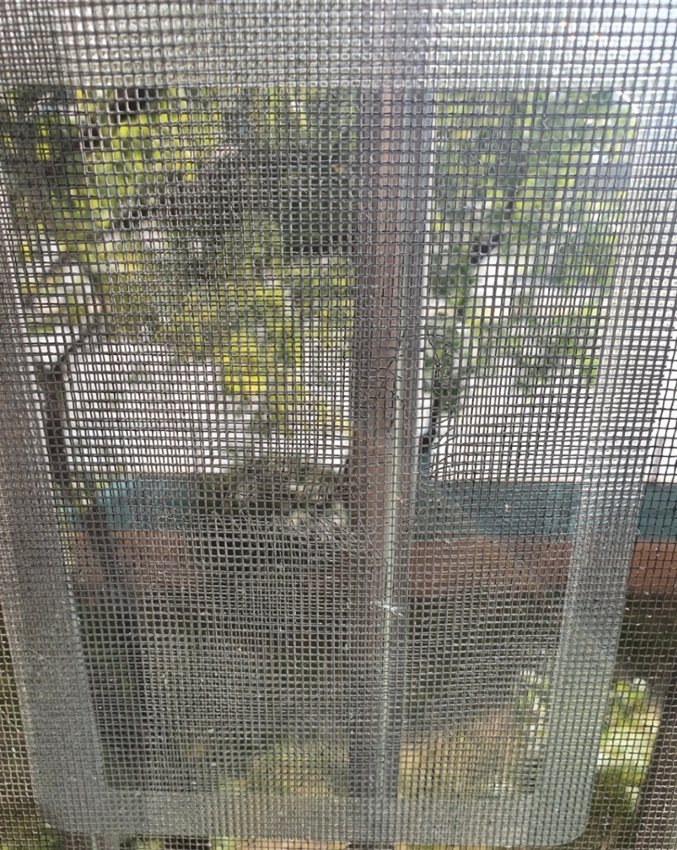 방충망 테이프