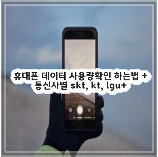 휴대폰 데이터 사용량확인 하는법 + 통신사별 skt, kt, lgu+