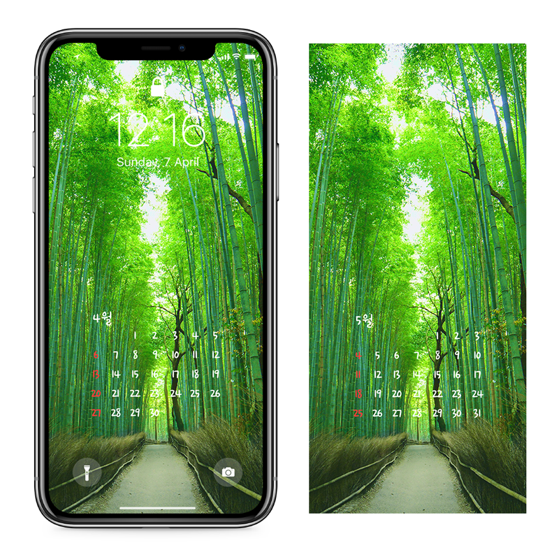 02 대나무 숲길 AB - 2025년4월 아이폰달력배경화면