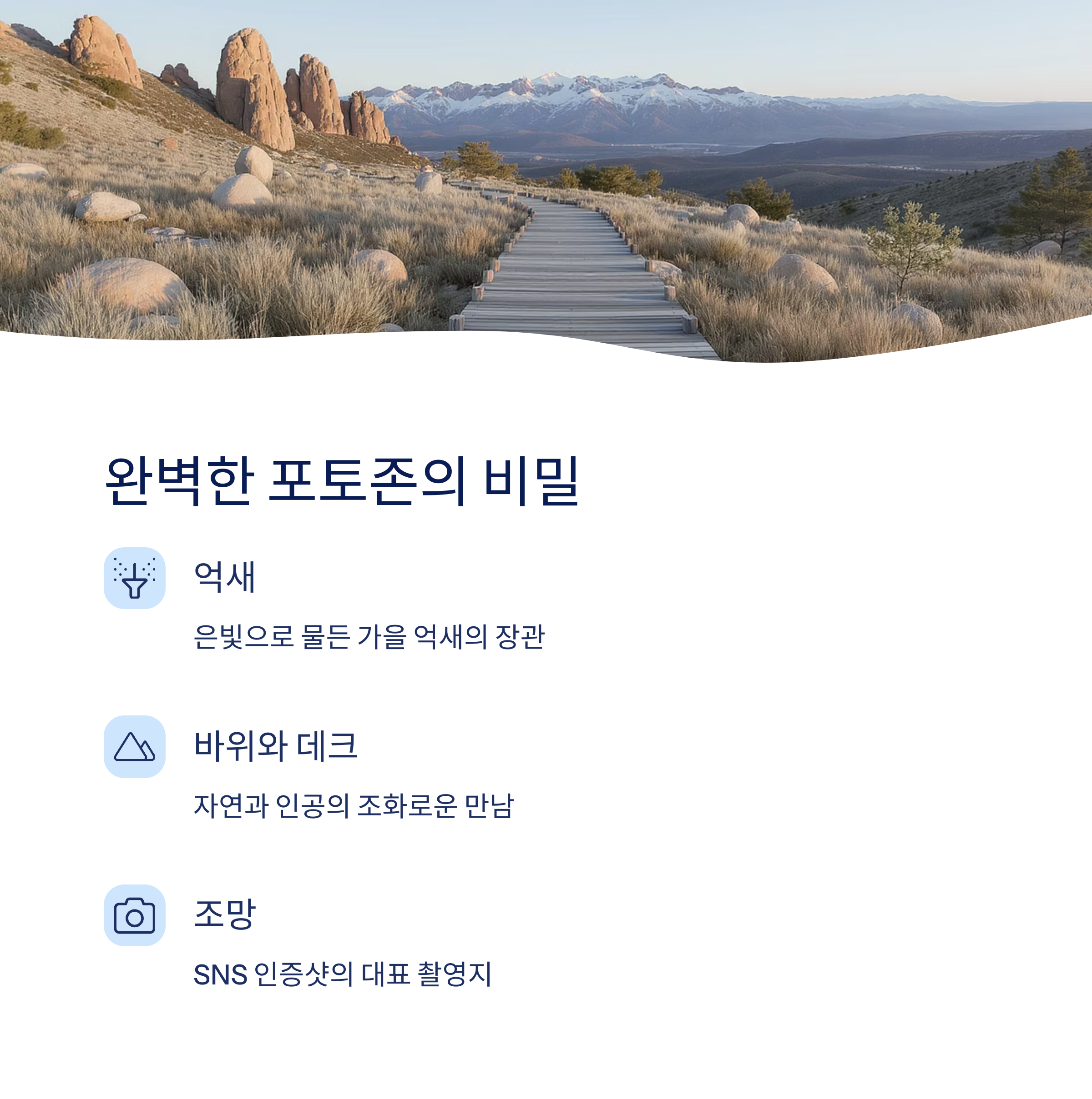 포토존 구성 요소