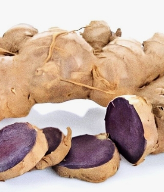 파비플로라 효능