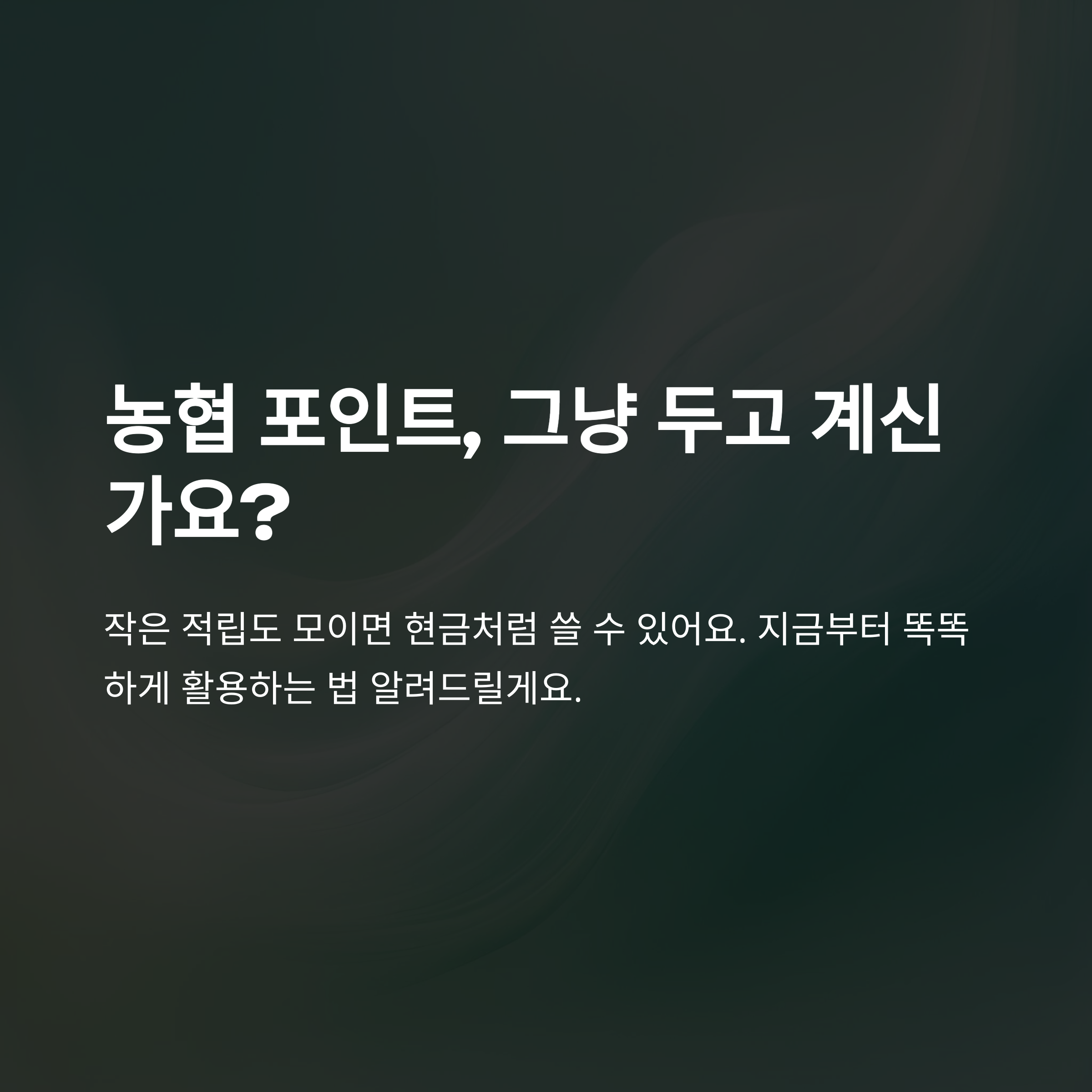 농협 포인트 완벽 활용 가이드|적립·조회·전환·캐시백까지