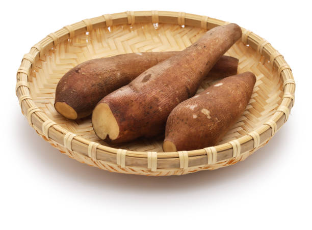 야콘 효능 10가지와 부작용 및 먹는법 및 보관법