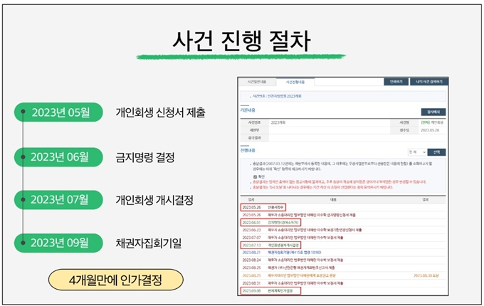 개인회생 승인 사례