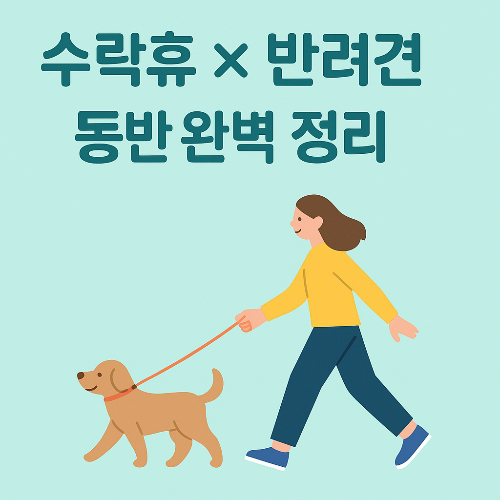 반려견과 수락휴? 몰랐다간 낭패 보는 산책 꿀팁 총정리!