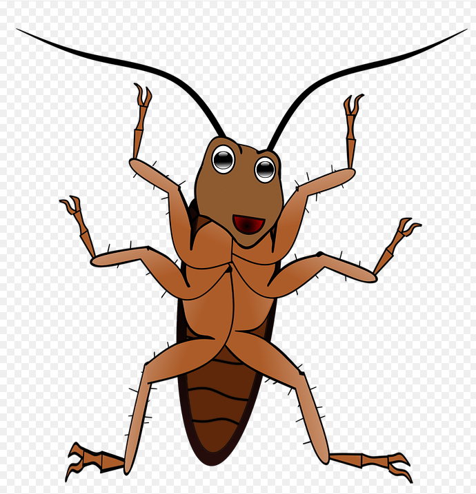 바퀴벌레 없애는법