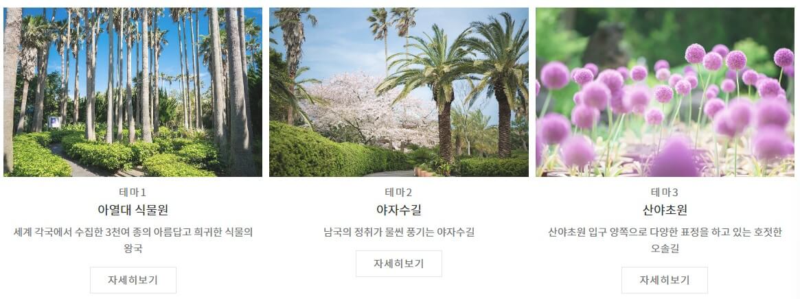 제주 한림공원 수선화 축제가 23년 1월 21일부터 2월 19일까지 제12회 수선화축제를 개최합니다.