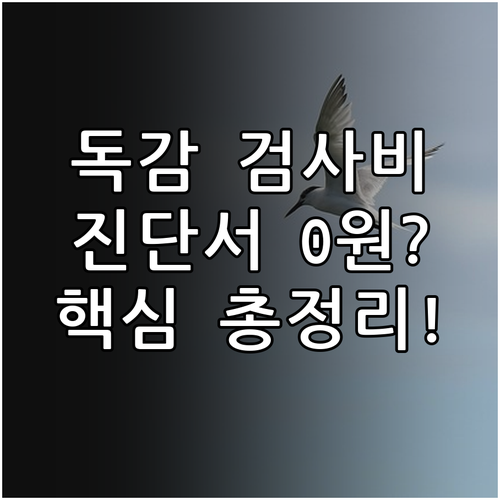 독감 진단서 발급 비용과 병원 검사비..