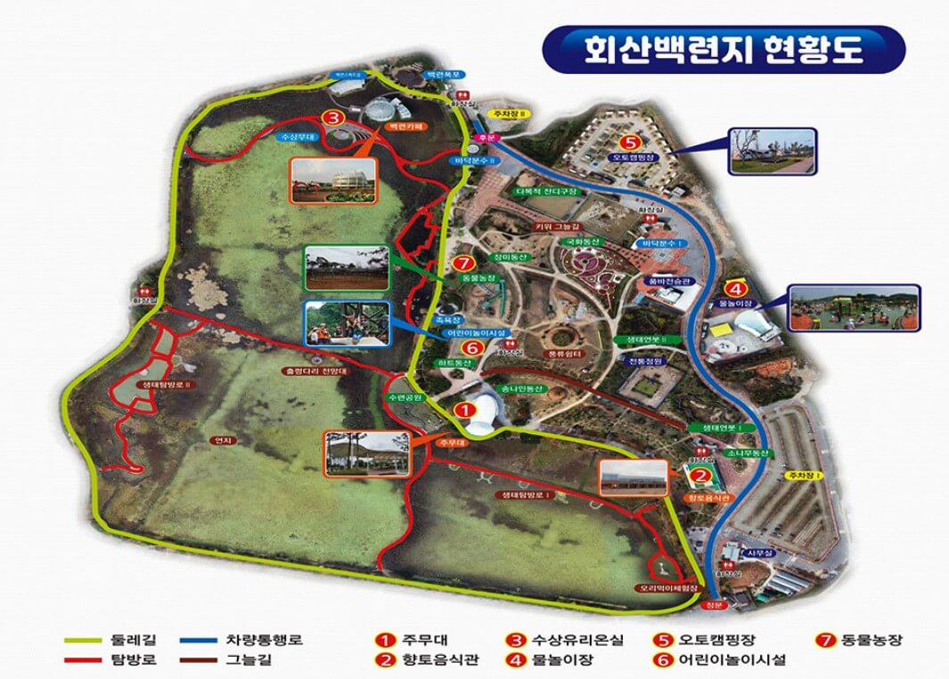 회산백련지-무안연꽃축제