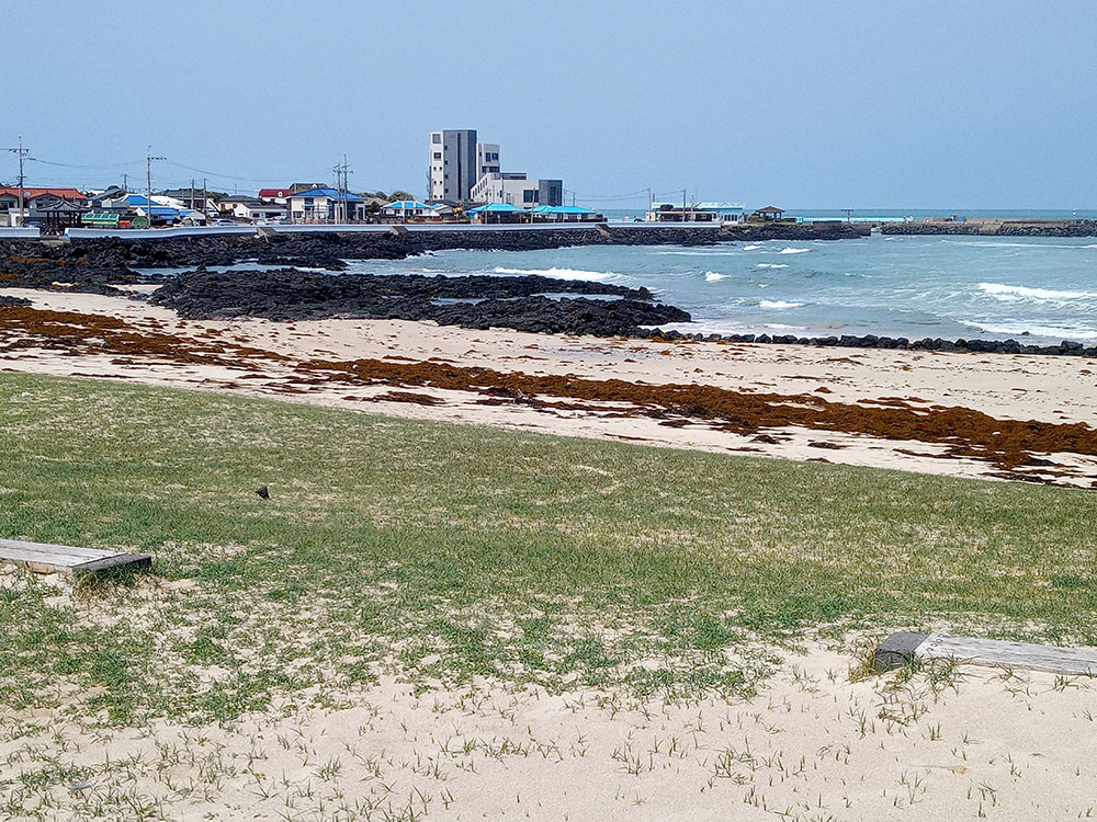 올레길 20코스: 세화해수욕장