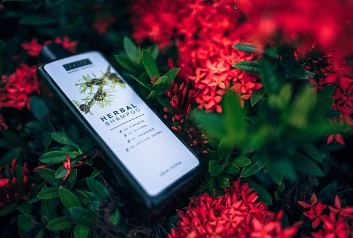 탈모 샴푸 추천 – 선택 기준과 효과적인 성분