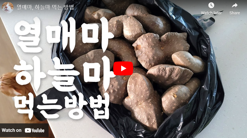 출처 : https://youtu.be/Yc1FVV9W00U?si=wh2WD58eAFqMgx_W