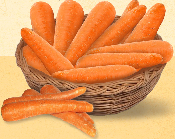 6시내고향 제주 구좌 당근 구매정보 도하네농장