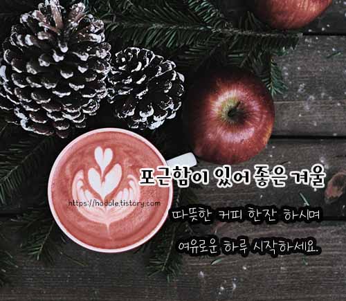 포근함이있어행복