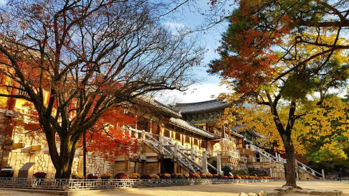 경주 가을 불국사 사진