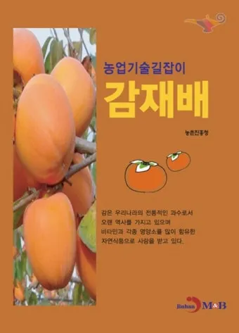 감 재배 탄저병 방제 가지 치기 저장 요령_3
