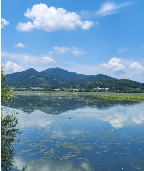 주남저수지