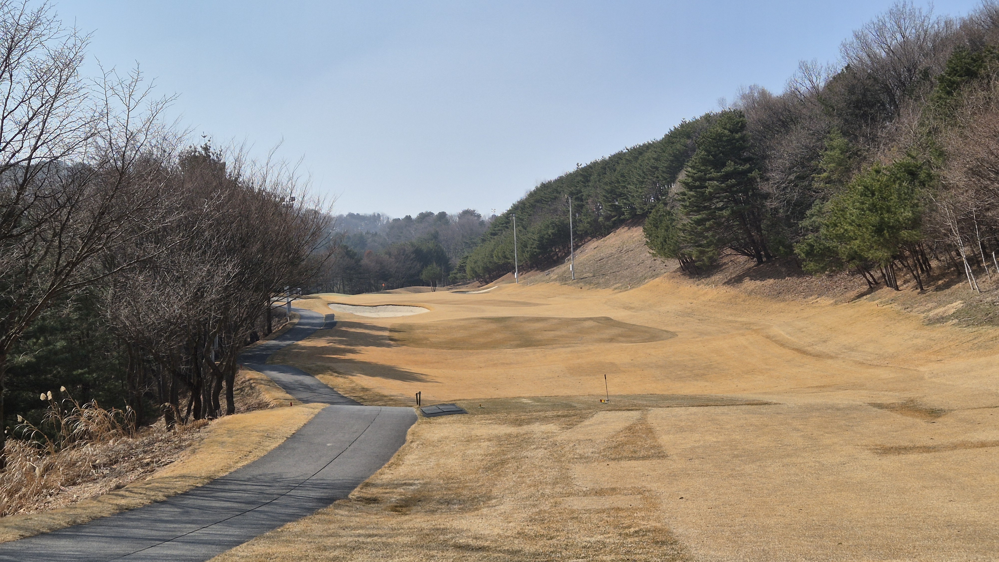 아난티코드gc 잣나무-느티나무 코스 사진 및 공략 정보