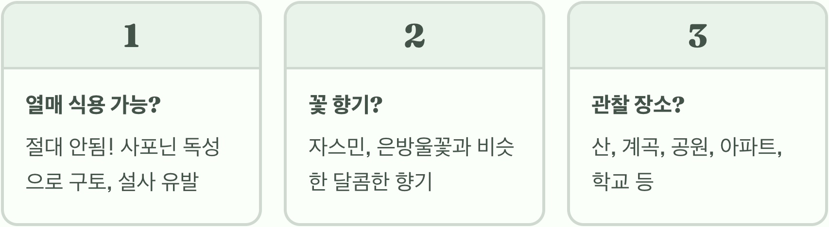 때죽나무, 정말 물고기를 '떼로 죽이는' 나무였을까? (이름의 비밀)