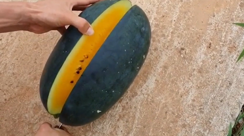 극한직업 고창 수박