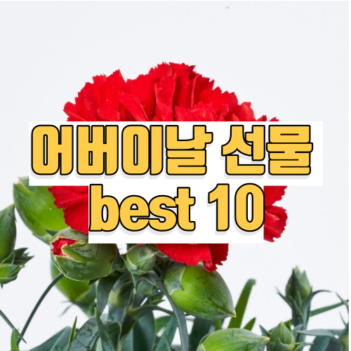 어버이날 선물 best 10