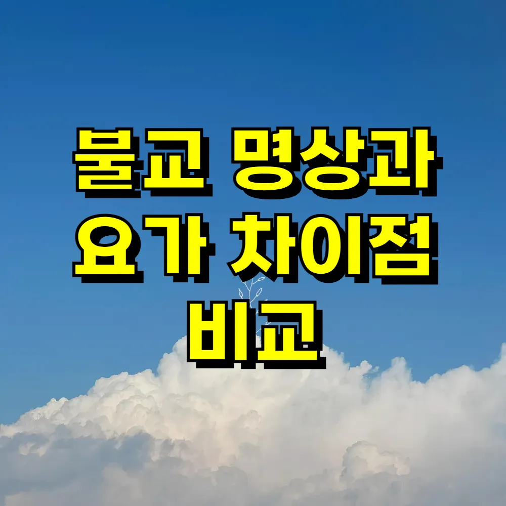 불교 명상과 요가 차이점 비교