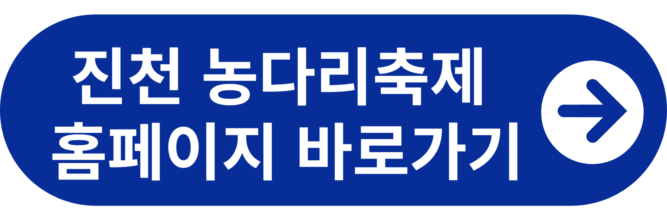 진천 농다리축제 바로가기