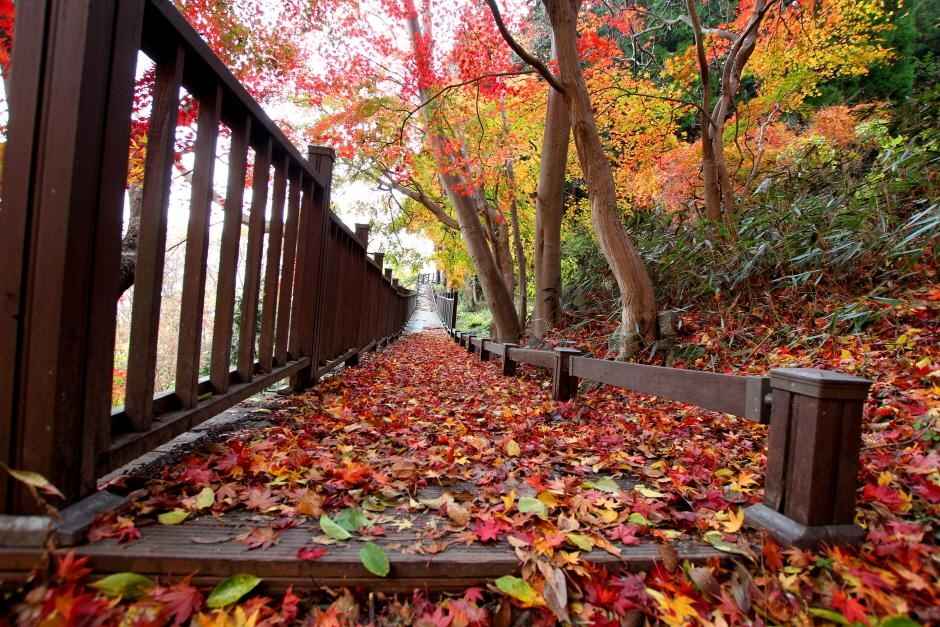 만연산